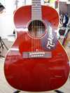 Takamine TDP412 TUBE PRE.jpg